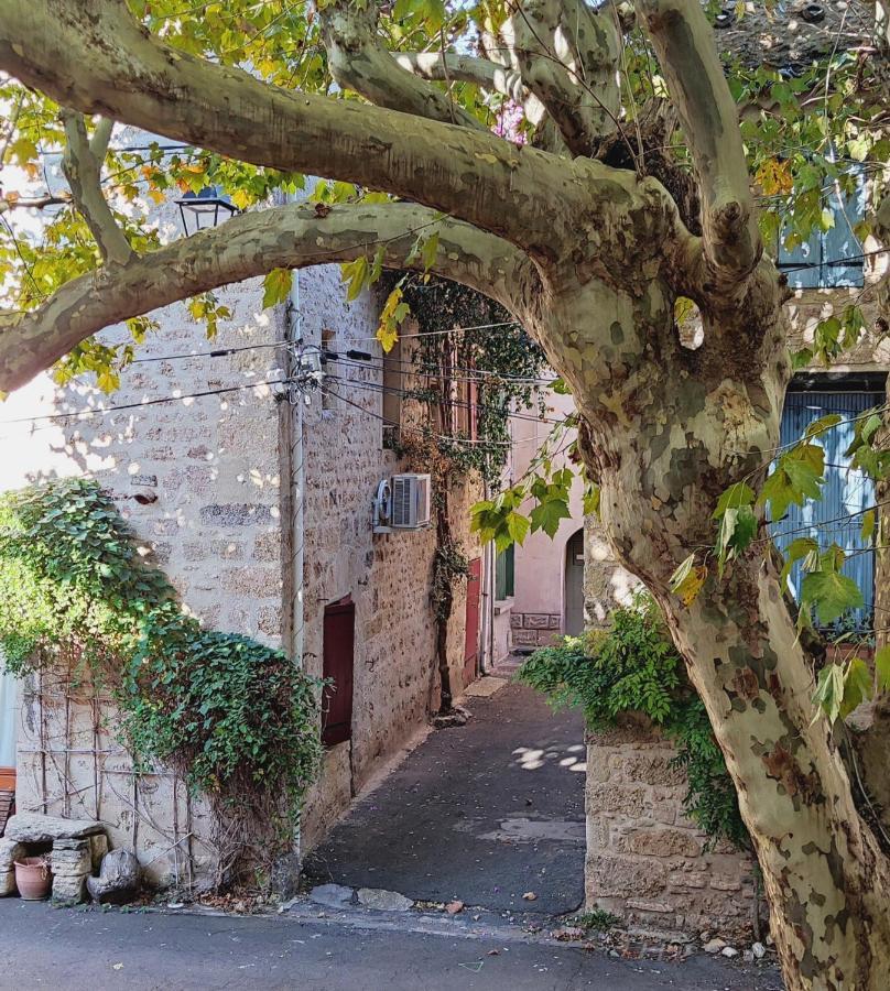 Villa Fontilha Usclas-l'Herault エクステリア 写真