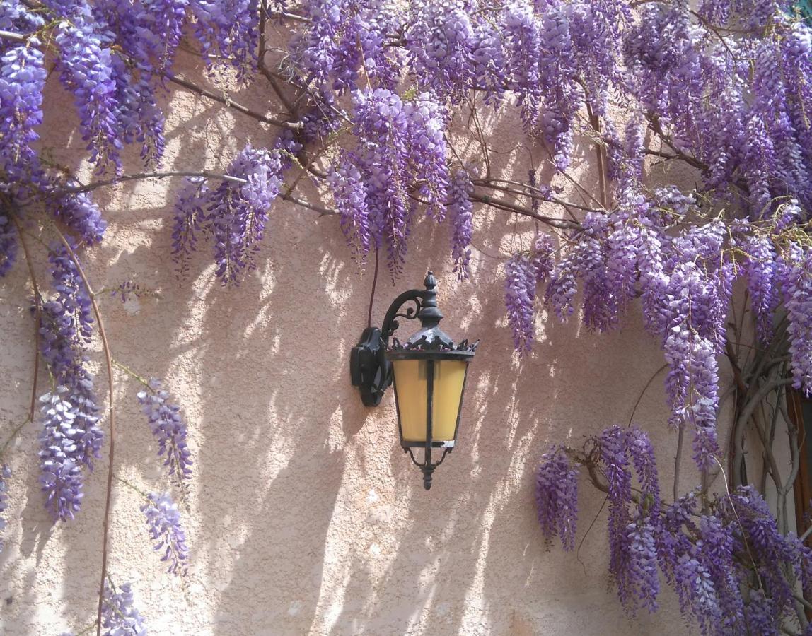 Villa Fontilha Usclas-l'Herault エクステリア 写真