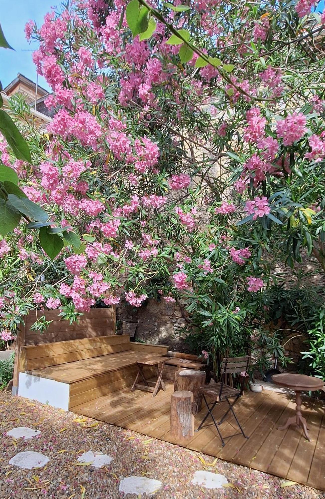 Villa Fontilha Usclas-l'Herault エクステリア 写真